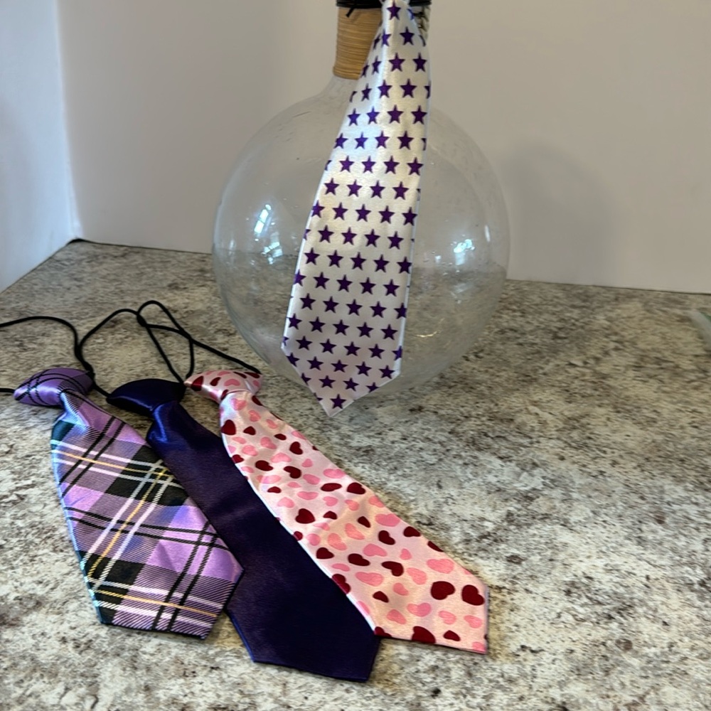 Ties 10” unisex ties set of 4. Attached elastic cord goes under the color